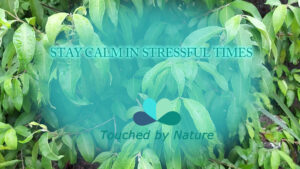 Stay Calm in Stressful TImes - short meditation for stress relief by Touched by Nature