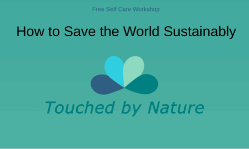 Workshop “How to Save the World Sustainably” 6 May 2025 12:30pm-1:15pm AEST