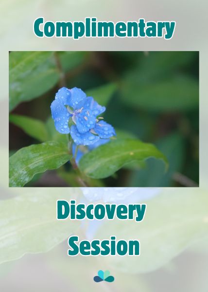 Complimentary Discovery Session - Touched by Nature Coaching - Maryse Jansen -Image: Wildflower with Raindrops by Maryse Jansen